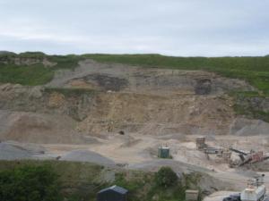 b) The exposure in the overburden above the working quarry face at Boyne Quarry (c) Jon Merritt