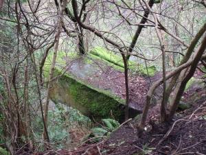 The Printers' Stone, one of the overgrown rock exposures in Rouken Glen. © Steve Edwards.