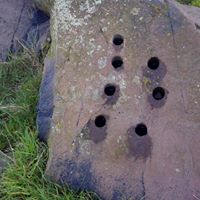 10959295_1574240776150198_475844452133357644_n